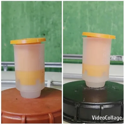 Plastic Container on Color Surfaces