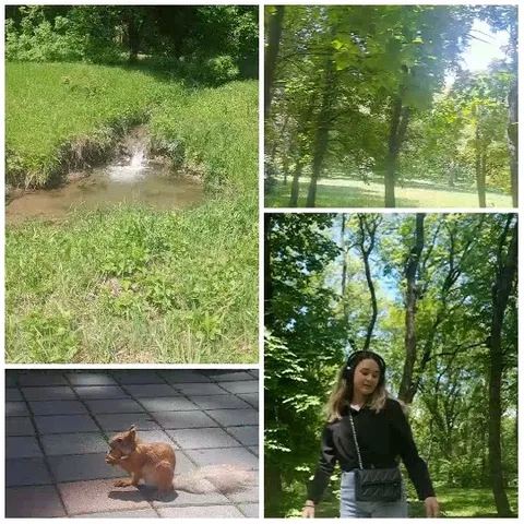 Waterfall, Squirrel, Park Scenes