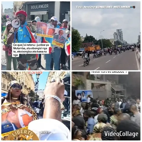 Public Gatherings and Activism Scenes