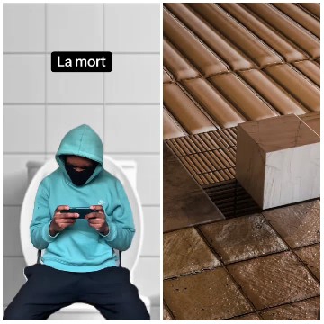 Person on Toilet with Smartphone