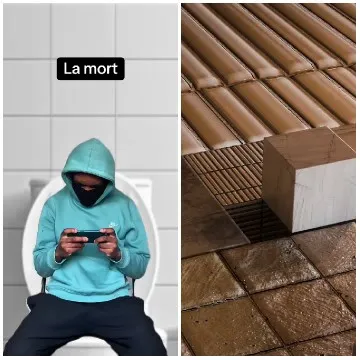 Person on Toilet with Smartphone