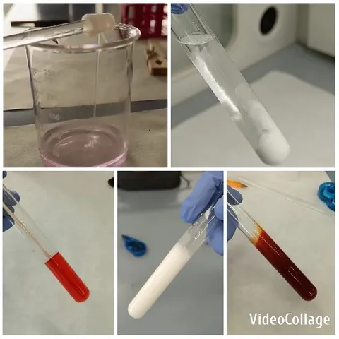 Test Tubes and Beaker with Liquids