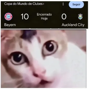 Copa do Mundo Scoreboard and Cat