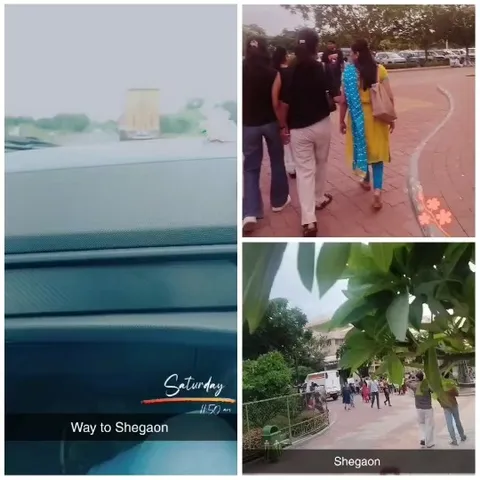 Road Trip and Park Stroll