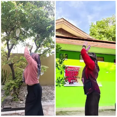 Women Reaching for Tree Branches
