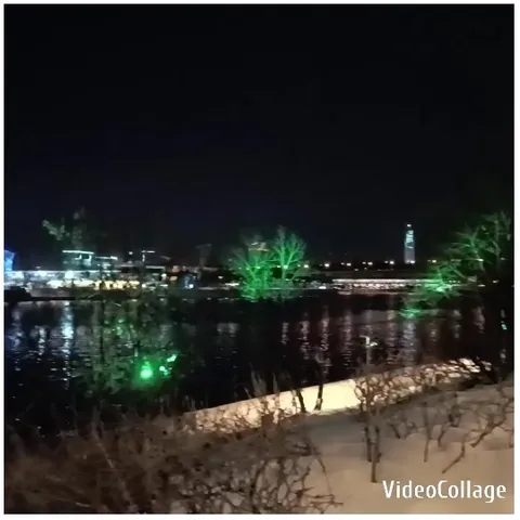 Nighttime Waterfront with Illuminated Trees