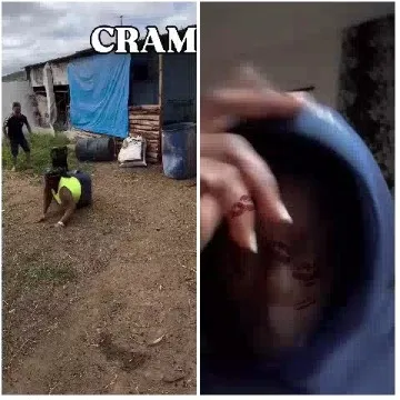 Person in Yellow Vest Crawling
