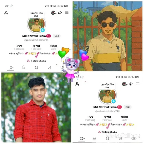 Social Media Profiles Display