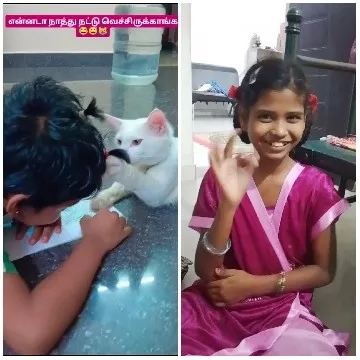 Child and Cat Interaction