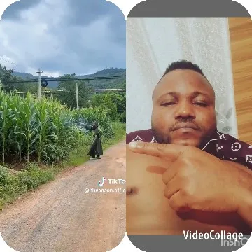 Rural Road and Indoor Close-Up
