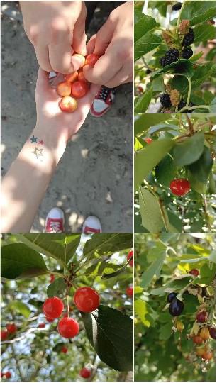 Hands and Feet in Nature