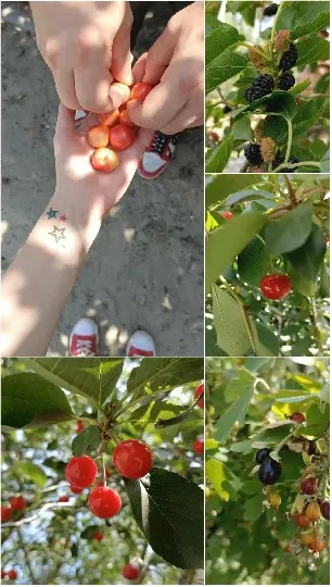 Hands and Feet in Nature