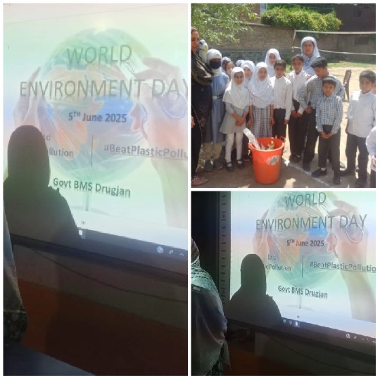 World Environment Day Projection Event