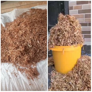 Dried Shrimp Displays