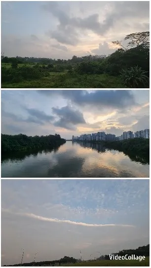 Landscape Photos of Nature