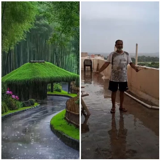 Lush Landscape and Man in Rain