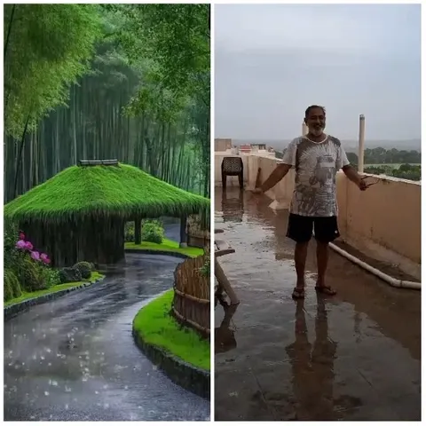 Lush Landscape and Man in Rain