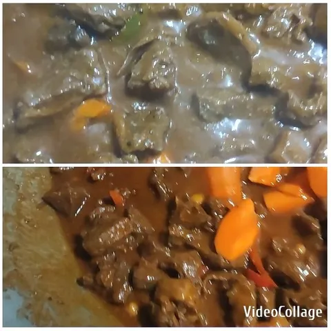 Cooked Food with Brown Sauce and Stew