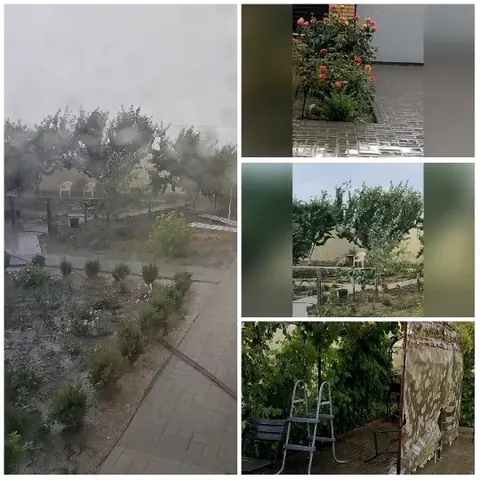 Garden Path and Various Garden Views