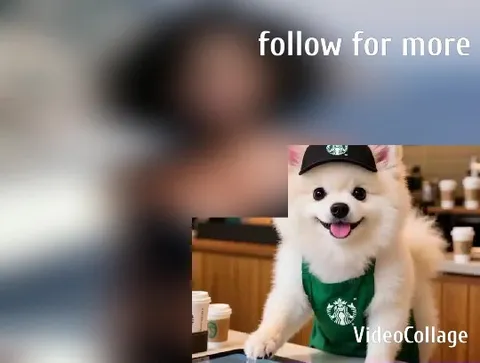 Dog Dressed as Barista in Cafe