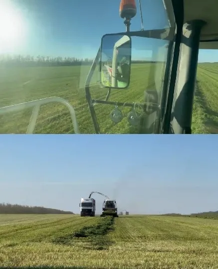 Field View from Vehicle and Farming