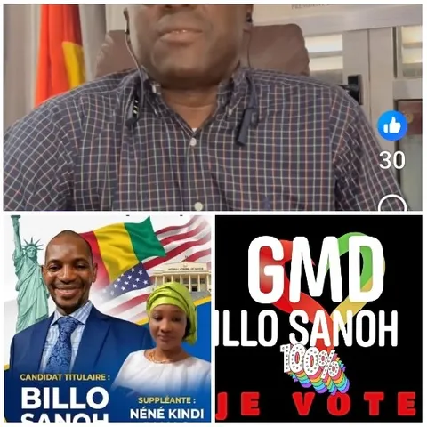 Video Call and Political Campaign