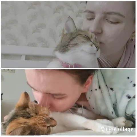Nuzzling a Content Cat