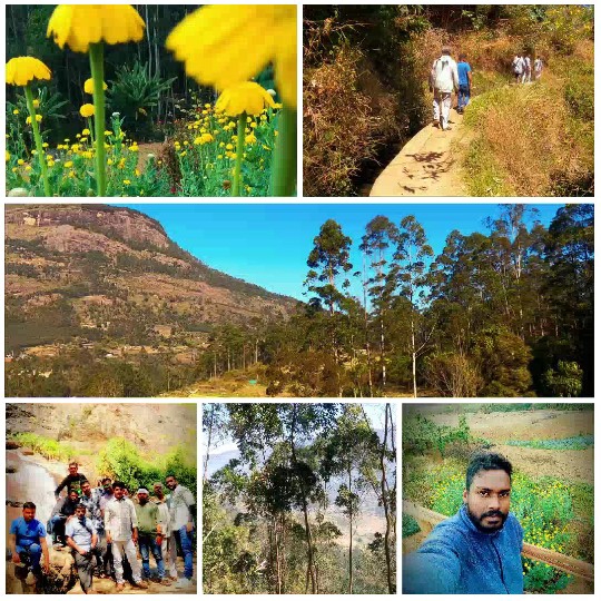 Nature Scenes and Group Hiking