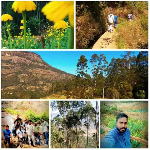 Nature Scenes and Group Hiking