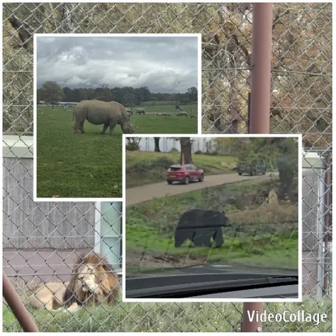 Wildlife Park Animal Encounters