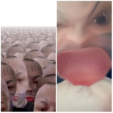Faces in Masks and Distorted Features
