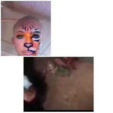 Feline Face Paint and Blur