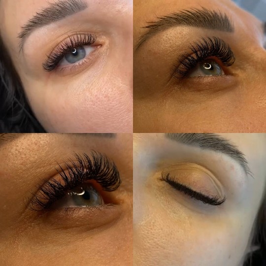 Close-Up Views of Eyelashes