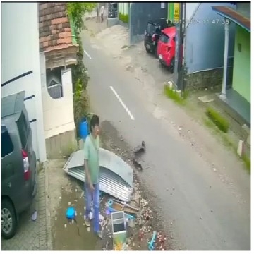 Calm Roadside Scene with Debris