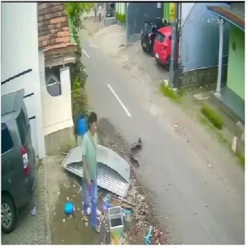 Calm Roadside Scene with Debris