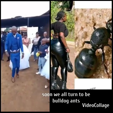 Man in Suit at Social Event