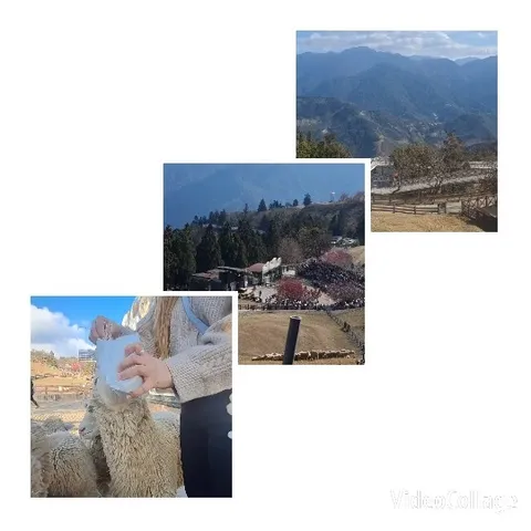Mountain Landscape and Outdoor Gathering