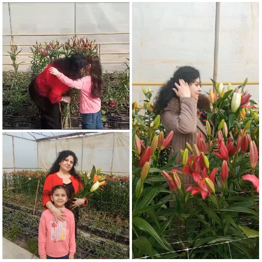 Family Moments in a Greenhouse