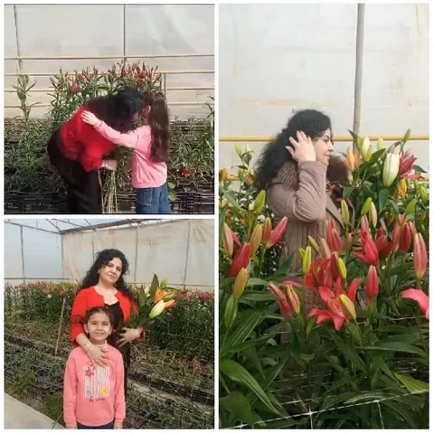 Family Moments in a Greenhouse