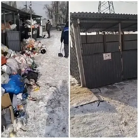 Before and After Trash Collection