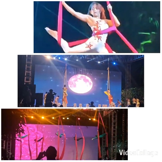 Aerial Silk Performance Highlights