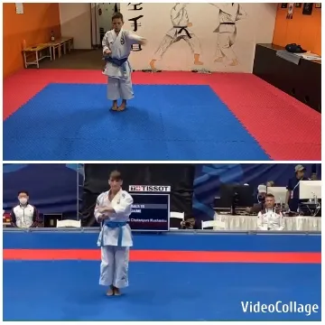Kata Demonstrations in Dojo and Arena