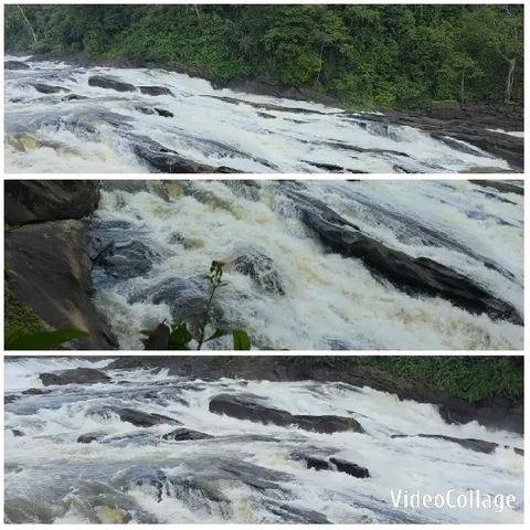 River Rapids Surrounded by Greenery