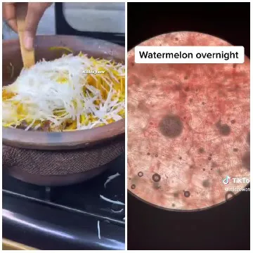 Cooking Biryani and Watermelon Pattern