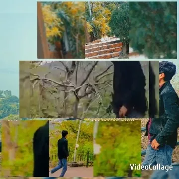 Outdoor Scenes in Natural Setting
