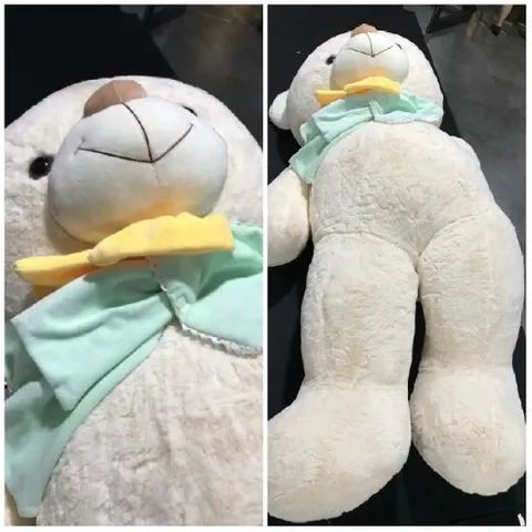 Stuffed Bear on Dark Surface