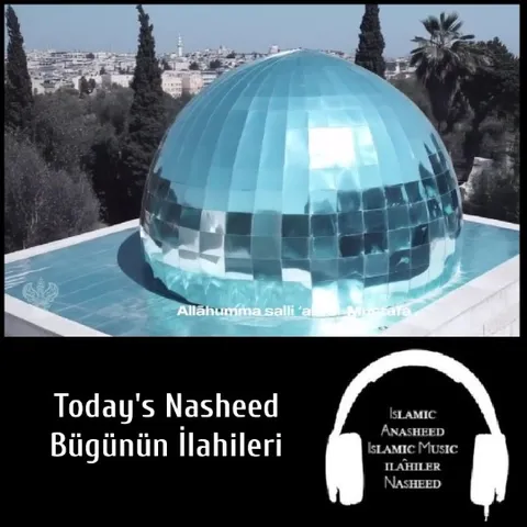 Reflective Dome Structure in City