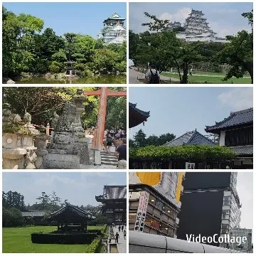Traditional Japanese Buildings and Nature