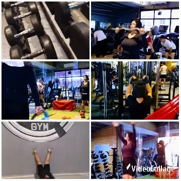 Gym Scenes with Various Workouts