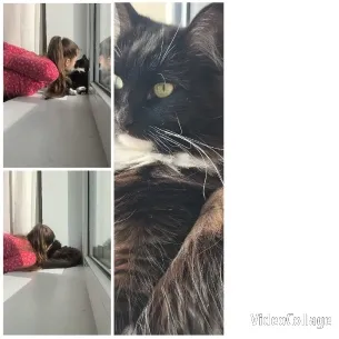 Child with Cat by Window